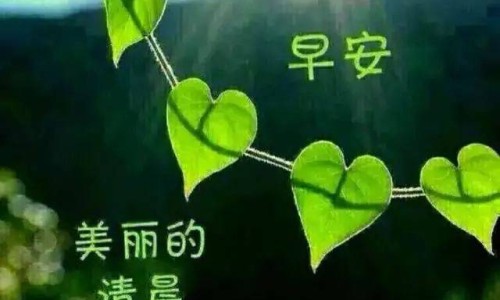 耳朵伤口为何总是难愈合-耳朵伤口长不好什么原因造成的网- 为什么耳朵上的伤口很难痊愈知识,分享耳朵伤口长不好什么原因造成的呢